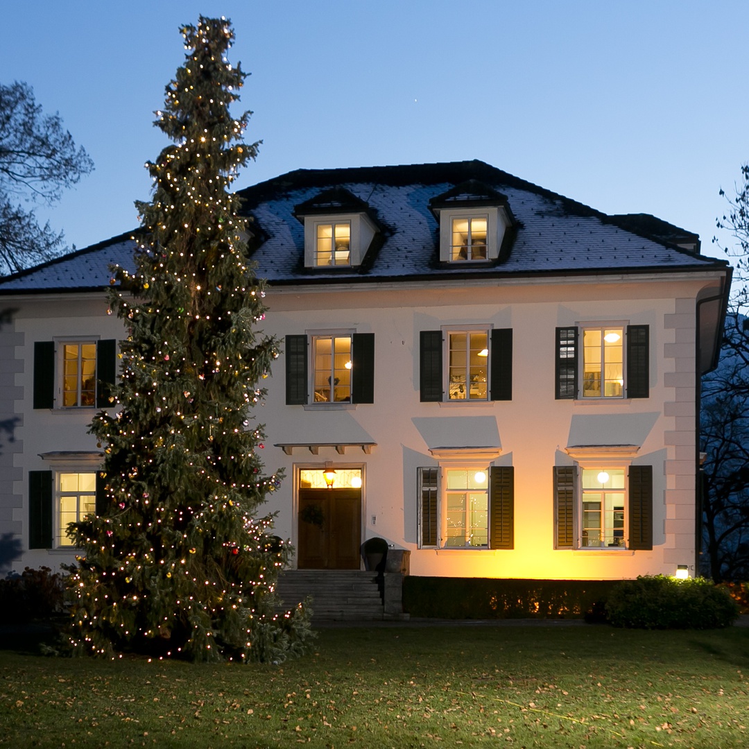 Weihnacht auf Falkenhorst